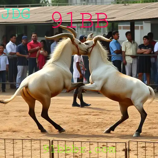 Entendendo a Complexa Realidade das Rinhas de Galos e o Enigma 91BB